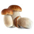 DANEX Baravikas veselas 4-6cm (4x2.5kg)